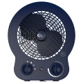 DORI_NIGHT_2.WEBP