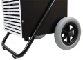 FAEP50_22.webp
